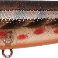 Magic Craw