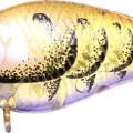 All Green Purple Craw