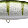 Green Perch