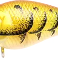 All Table Rock Craw
