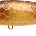 Golden Walleye