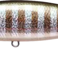 Aurora Blue Gill