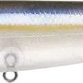Ghost Threadfin Shad