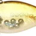 Aurora Ghost Golden Shiner
