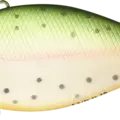 Mat Rainbow Trout