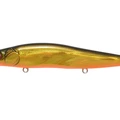 GG Megabass Kinkuro