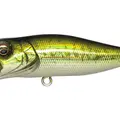 GG Bass