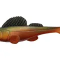 Dark Shad