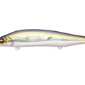 GG IL Tennessee Shad
