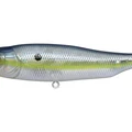 GP Sexy Shad