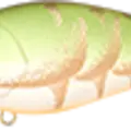 Rootbeer Craw