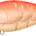 Golden Craw