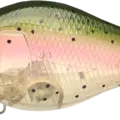 Ghost Rainbow Trout