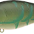 Moss Green Craw