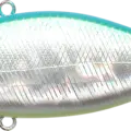 Aurora Citrus