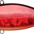 Aurora Craw