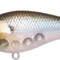 Ghost Minnow