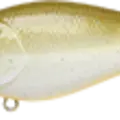 Rootbeer Green