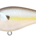 Chartreuse Shad