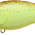 Chartreuse Splatter Rootbeer