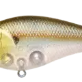Flake Flake Golden Sexy Minnow
