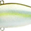 Gizzard Shad