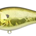 Aurora Gold