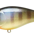 BE Gill