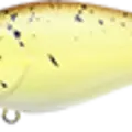 Pineapple Shad