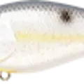 Sexy Chartreuse Shad