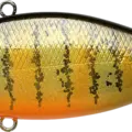 Gold Pumpkin Seed