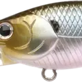 Ghost Minnow