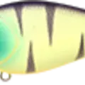 Mat Tiger