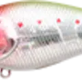 Nishiki