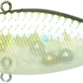 MS Clear Water Shad
