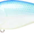 Citrus Shad