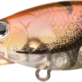 Japan Craw