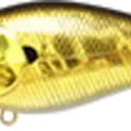 Aurora Gold