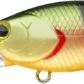 Northern Yellow Perch