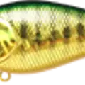 Aurora Green Perch