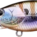 Blue Gill