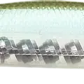 Ghost Minnow