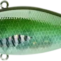 Silver Cheek Clear Lake Hitch