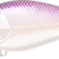 Lavender Shad