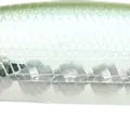 Silver Cheek Ghost Minnow