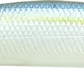 Pearl Threadfin Shad
