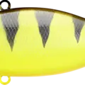 Tiger Perch