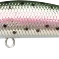 Laser Rainbow Trout
