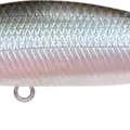 Pearl Ghost Minnow