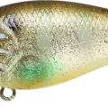Flake Flake Stripe Gill